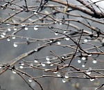 В Астрахань идут дожди и похолодание