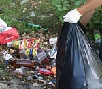 С берегов Волги собрали 300 тонн мусора