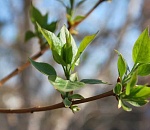 В Астрахани тепло, но ветрено и дождливо