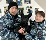 Астраханский Центр кинологической службы пополнился «сотрудниками» с Урала