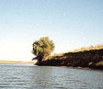 Прокуратура выясняет причины загрязнения Казачьего ерика