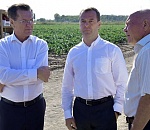 ФАС и РЖД рассмотрят снижение тарифов на перевозку овощей