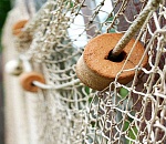 В Астрахани поймали браконьера из Пензы