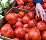В Астрахани снова подорожали помидоры