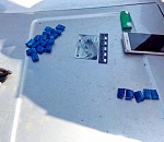 Астраханские полицейские помогли студенту разглядеть интересную траву