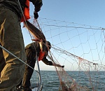 Астраханские пограничники спасли тонущих браконьеров