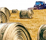 Астраханские фермеры в 2015 году получат на развитие более 930 млн рублей