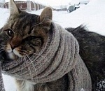 В пятницу в Астрахань придет похолодание