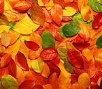 Вторник станет последним теплым деньком для астраханцев