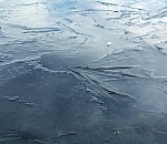 В Астрахани на льдине дрейфовал мужчина с ведром