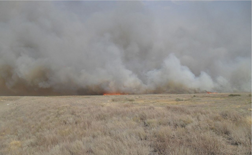 Масштабный природный пожар у Ахтубинского гарнизона. Фото