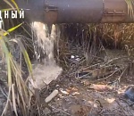 Очевидцы жалуются на вонь: трубу с нечистотами на Казачьем ерике снова прорвало