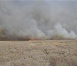 Масштабный природный пожар у Ахтубинского гарнизона. Фото