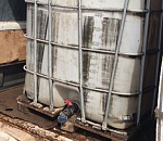 Астраханский приют для бездомных животных рассказал о своей не сладкой жизни