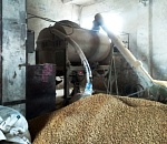 Тамбовский коммерсант продал астраханской агрофирме ядовитую кормосмесь для птиц