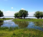 Выходим на рыбную полку: Волгоградская ГЭС снижает сбросы воды
