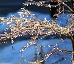 В Астраханской области на ночь ожидаются ледяные осадки