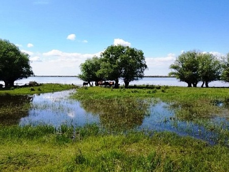 Выходим на рыбную полку: Волгоградская ГЭС снижает сбросы воды