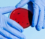  В Астрахани Rt коронавируса подскочил выше единицы