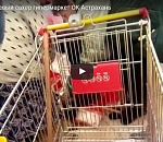 Астраханцы устроили настоящую драку за «дешевый» сахар. Видео