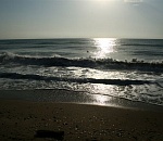 День Каспия впервые широко отпразднуют в РФ с участием стран региона