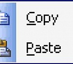 Астраханские эсеры выдавили «законотворческую копипасту»