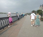 В центре Астрахани ловится селедка