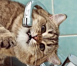 В Астрахани жители мкрн. Бабаевского останутся без холодной воды