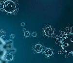 Число заразившихся коронавирусом в Астраханской области превысило 2,5 тысячи