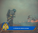 Глава астраханского поселка поплатился за ландшафтный пожар 