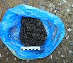 Астраханские полицейские искупались в черной икре