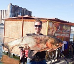 В центре Астрахани в канале выловили огромную рыбу