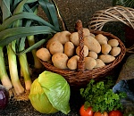 Экспорт астраханской сельхозпродукции вырос в пять раз