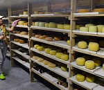 Астраханский Фонд поддержки МСП выдал более 200 льготных займов на полмиллиарда рублей