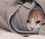 Астраханцев ждет холодная пятница