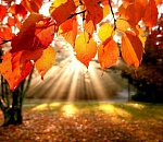 Синоптики обещают астраханцам теплый октябрь 