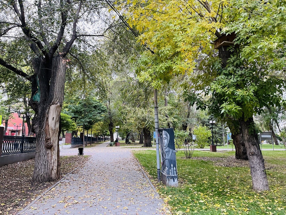 Рабочая неделя в Астраханской области завершится осадками