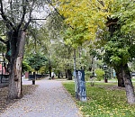 Рабочая неделя в Астраханской области завершится осадками