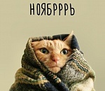 Нерешительное наступление зимы: погода в Астрахани на завтра