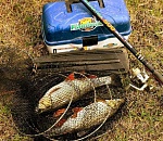 В Астраханской области массово обкрадывают иногородних туристов