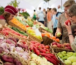 Ярмарки Астрахани: универсальные и тематические 