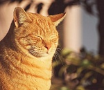 Очень теплую погоду без осадков обещают завтра астраханцам синоптики 