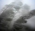 Сильный ветер, гроза и дождь надвигаются на Астрахань