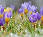 Астраханская погода в марте