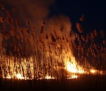 В Астрахани вновь может пахнуть гарью