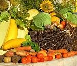 Рост сельхозпроизводства в Астраханской области в 2014г составил 2,3% 