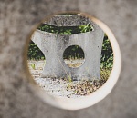 Астраханский МУП наказали за дырки в заборе