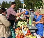 Мэрия Астрахани предоставила местным производителям бесплатные торговые места