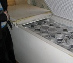 В холодильнике у двух астраханцев нашли 311 тушек осетра