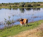 В Астрахань возвращается летнее тепло